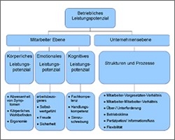 Betriebliche Gesundheitsanalysen in Unternehmen stark gefragt