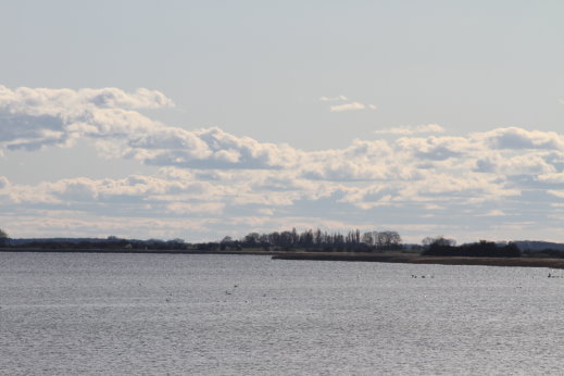 (Die Bildrechte liegen bei dem Verfasser der Mitteilung.)