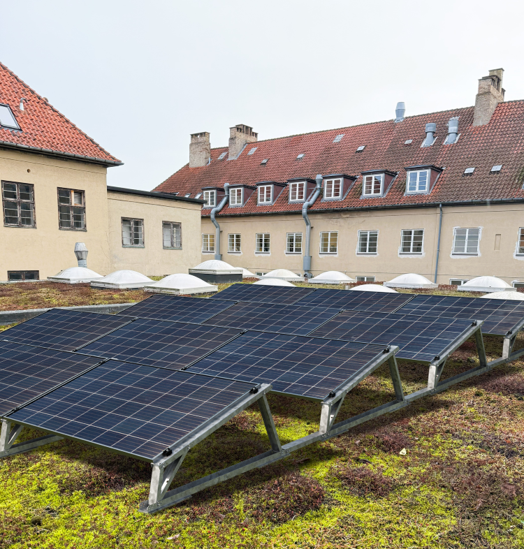 Das neue Gründach-Montagesystem TRITON flora für die  Kombination von Begrünung und PV-Anlage. 