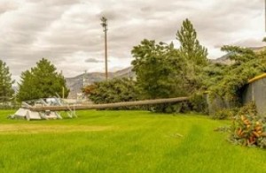 (Die Bildrechte liegen bei dem Verfasser der Mitteilung.)