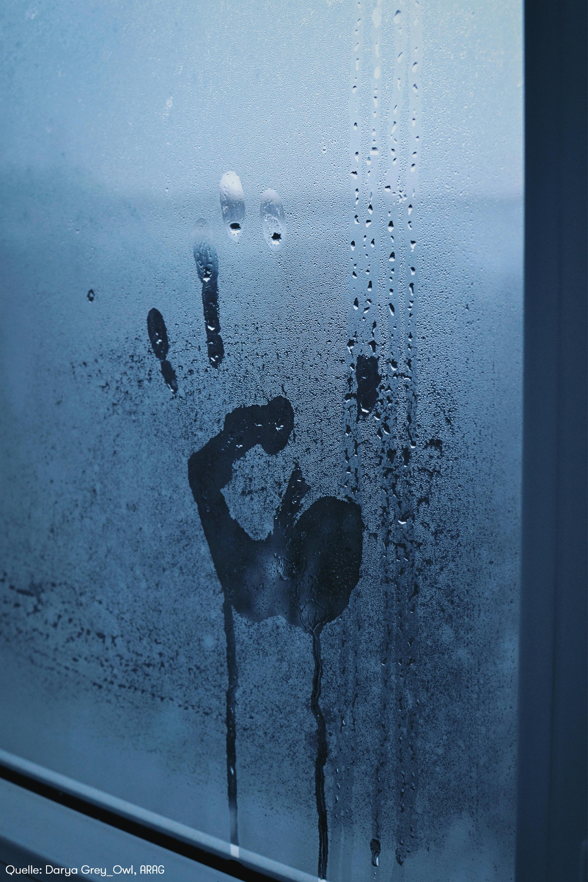 ARAG Experten mit den wichtigen Fragen und Antworten zum Thema Schimmel (Die Bildrechte liegen bei dem Verfasser der Mitteilung.)