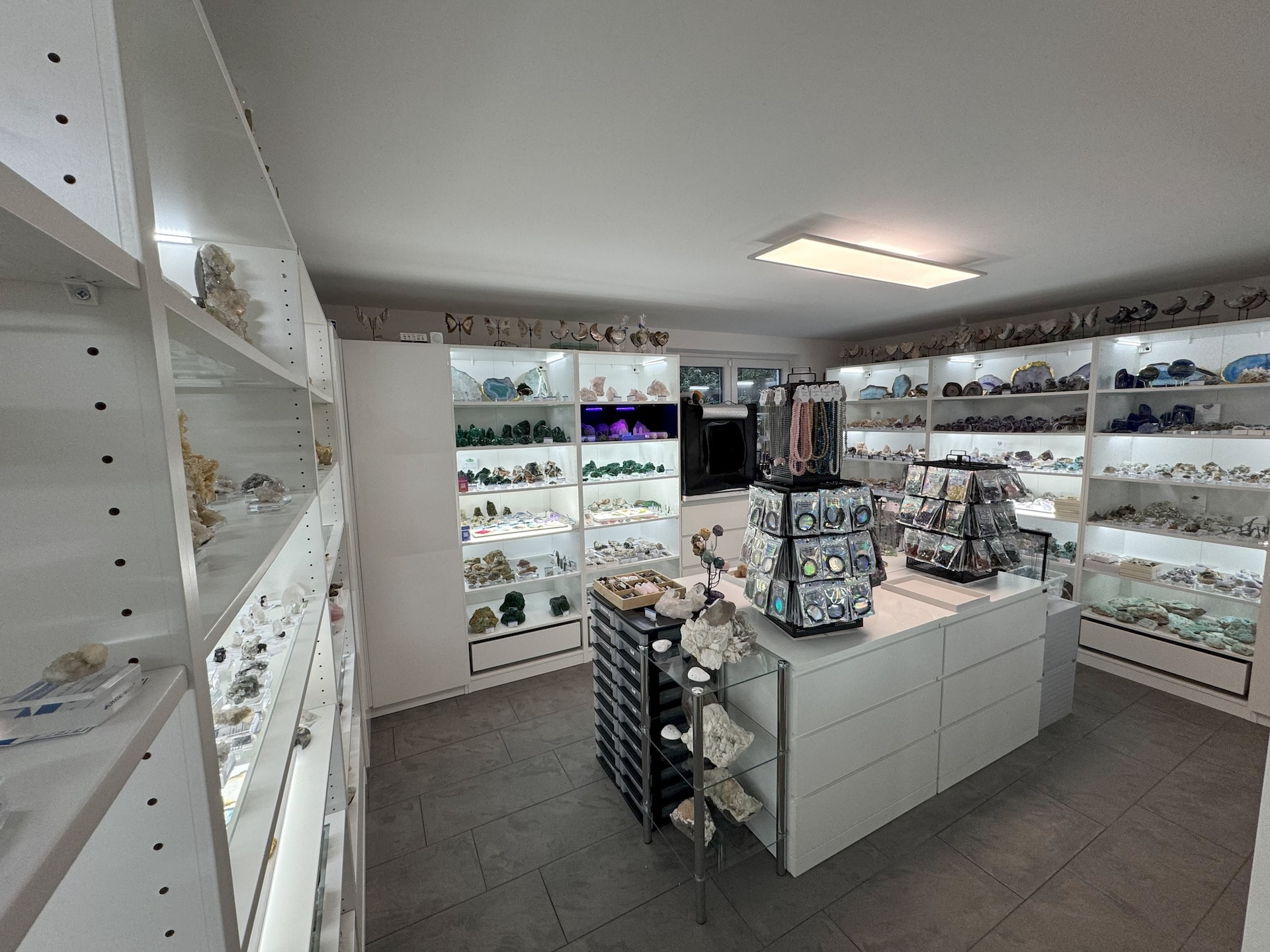 (Die Bildrechte liegen bei dem Verfasser der Mitteilung.)