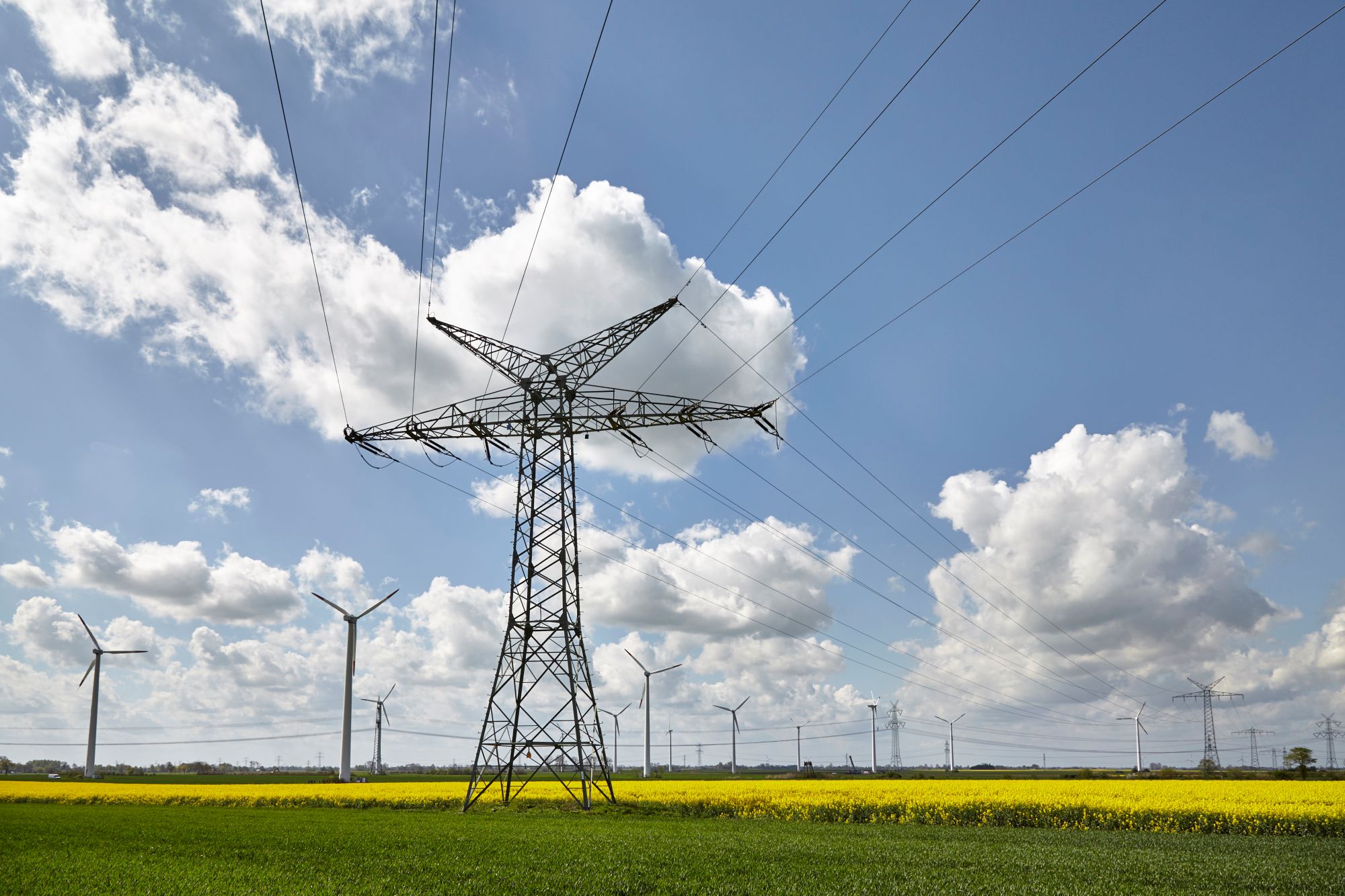 HanseWerk-Tochter SH Netz: Stromausfälle in Schleswig-Holstein liegen 55 Prozent unter dem Bundesdurchschnitt