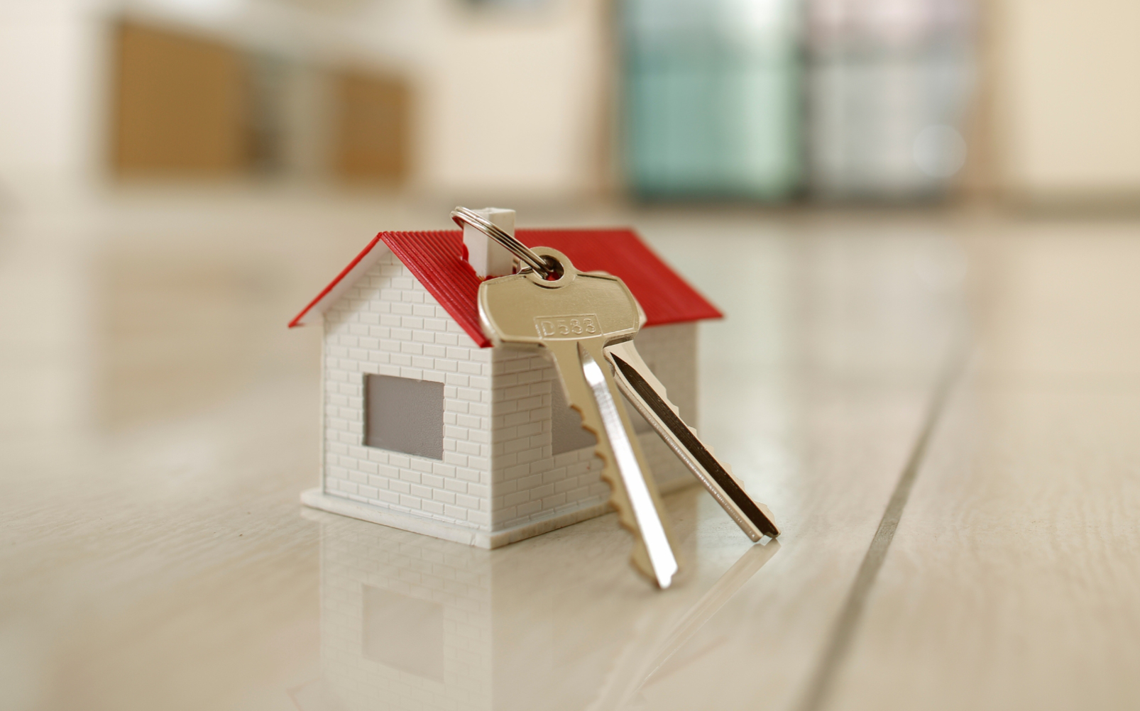 (Die Bildrechte liegen bei dem Verfasser der Mitteilung.)