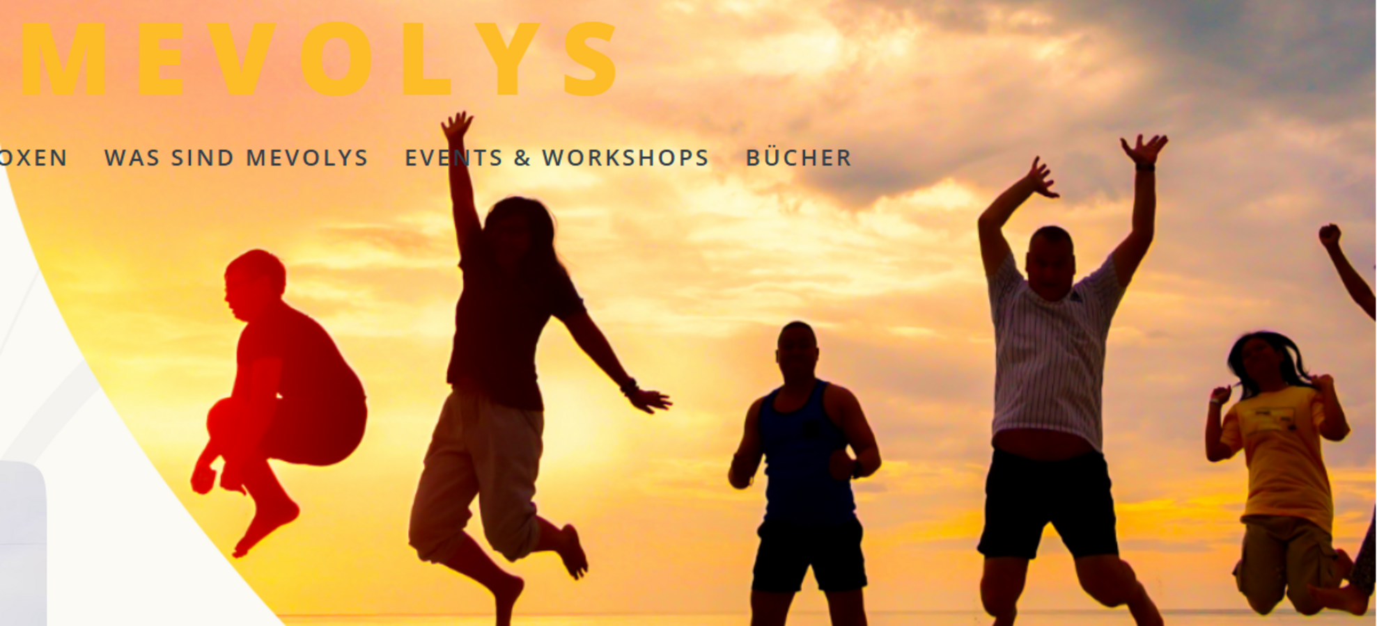 MEVOLYS - Wenn kleine Impulse große Veränderung bewirken