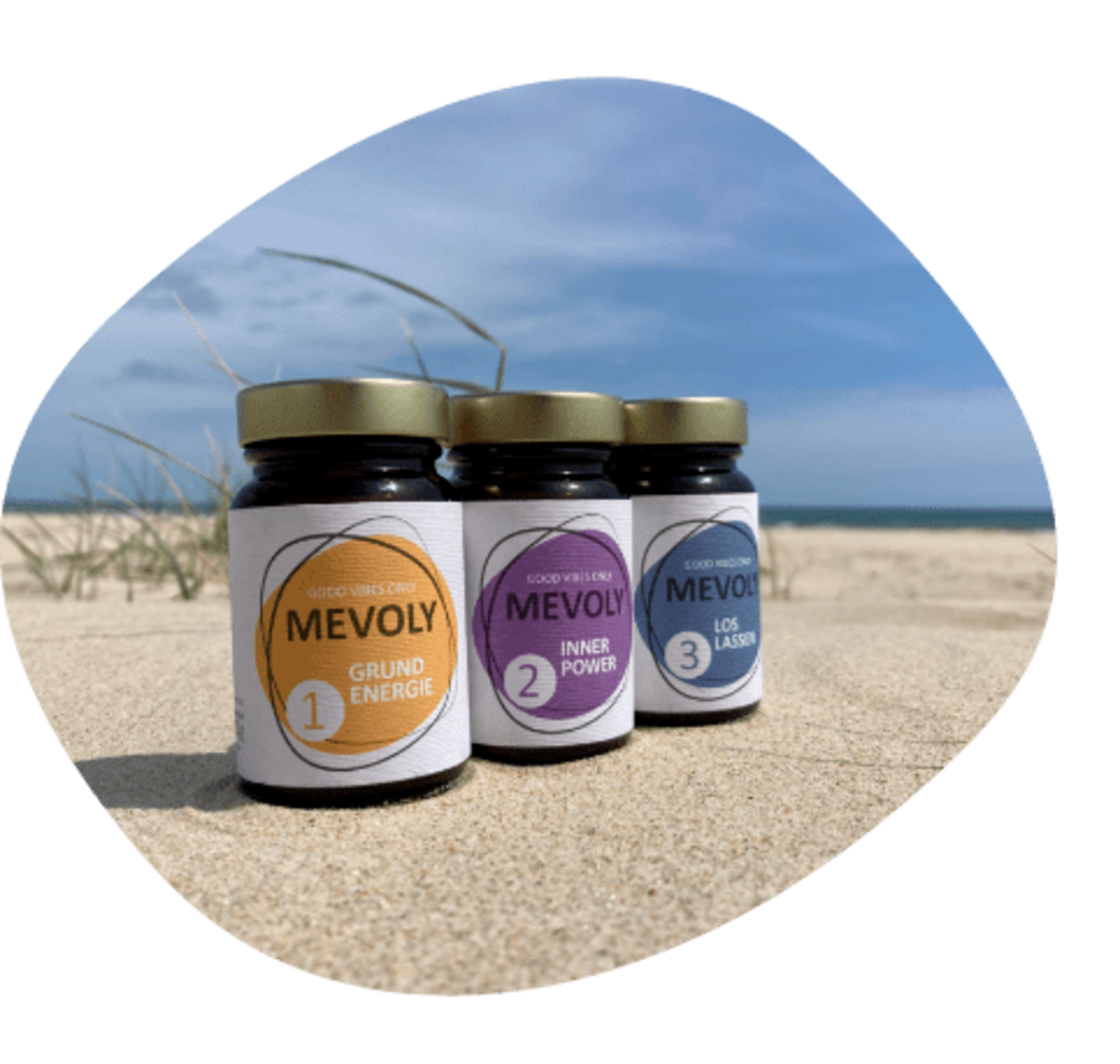 Das neue MEVOLY-Affiliateprogramm