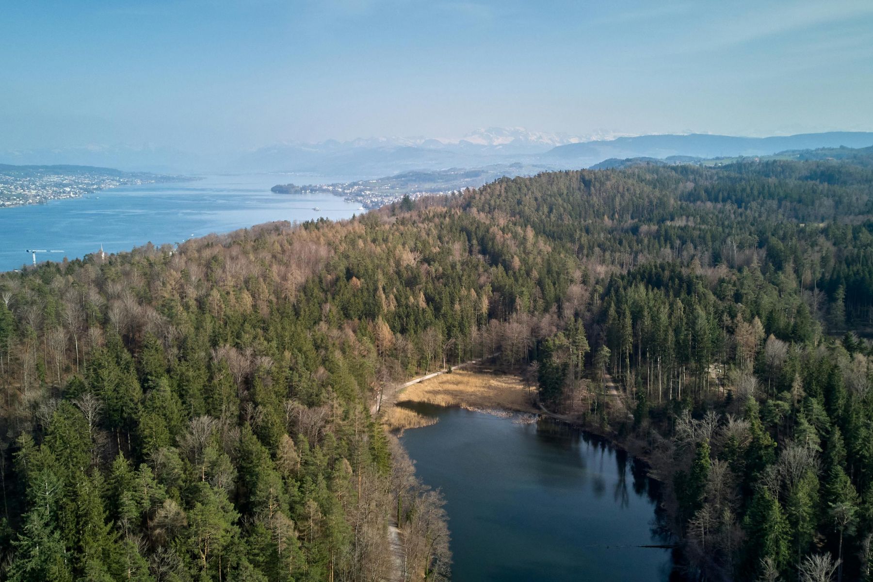 Sebastian Vetter - Botanik am Zürichsee