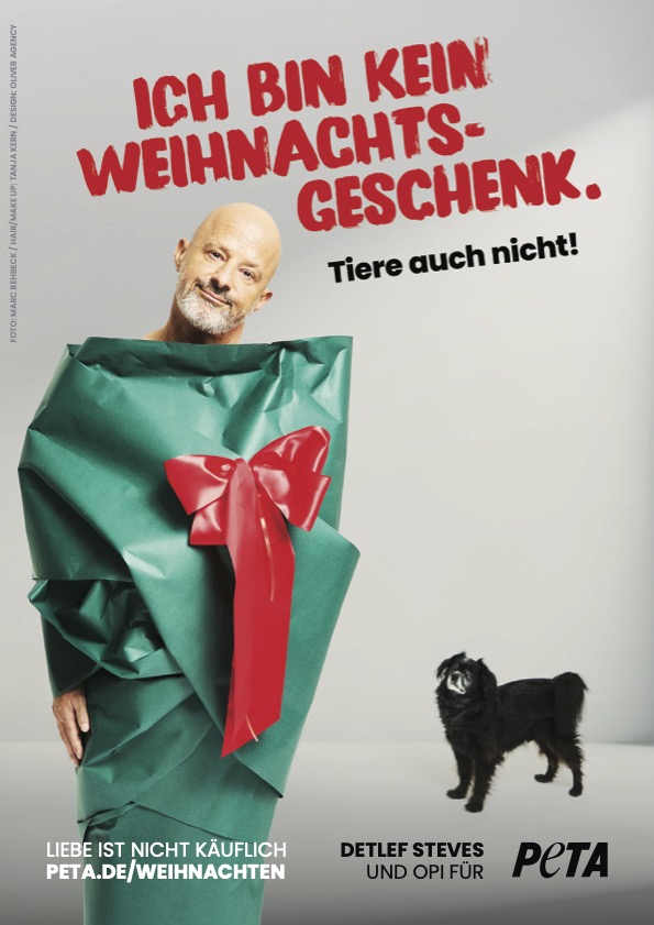 Detlef Steves ist für die neue PETA-Weihnachtskampagne als Geschenk verpackt. Opi wundert das sehr. (Bildquelle: Marc Rehbeck für PETA)
