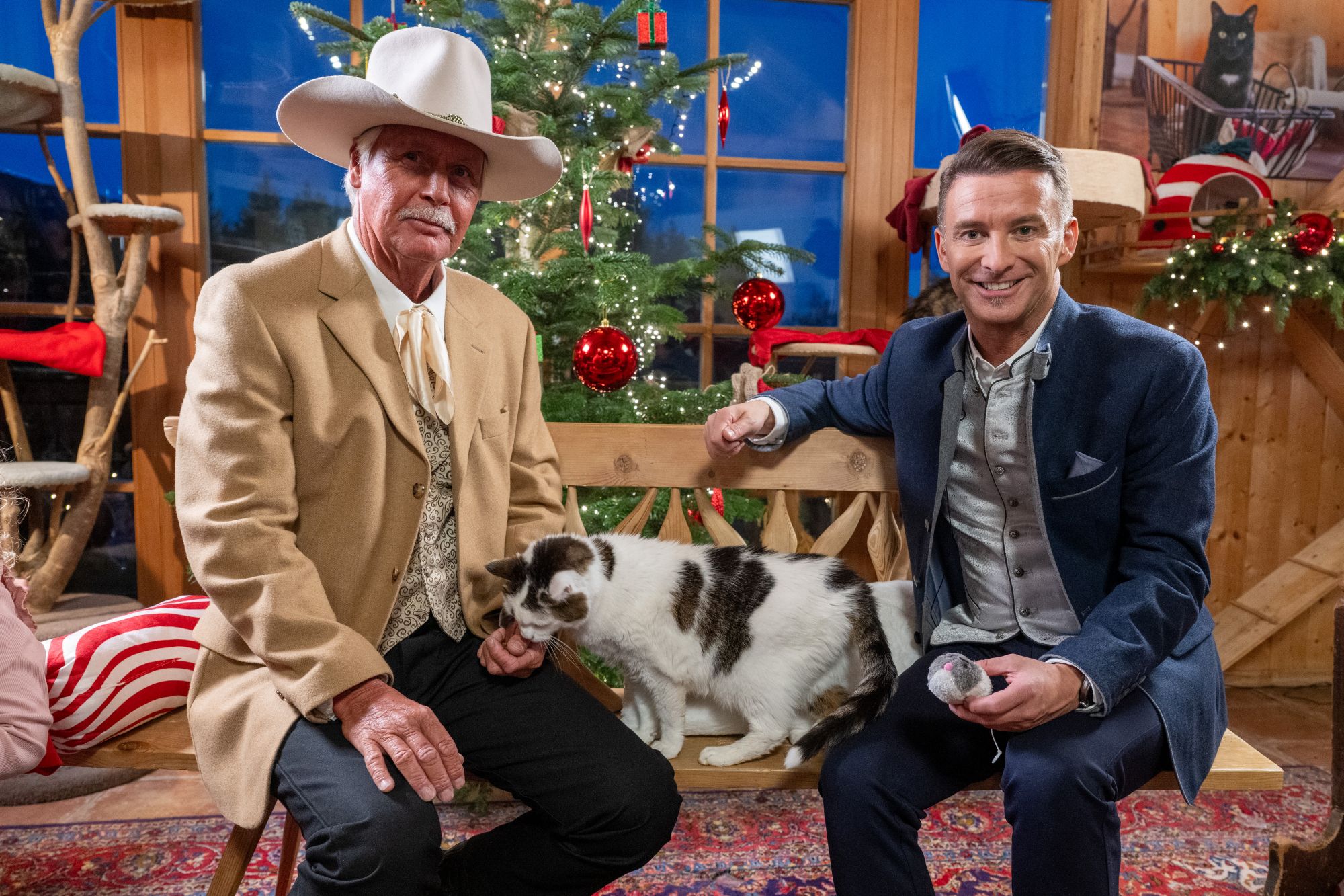 Die Geschichte vom neuen Gut Aiderbichl Katzenland erzählt AndréEngelhardt Moderator Marco Ventre (Bildquelle: Gut Aiderbichl)