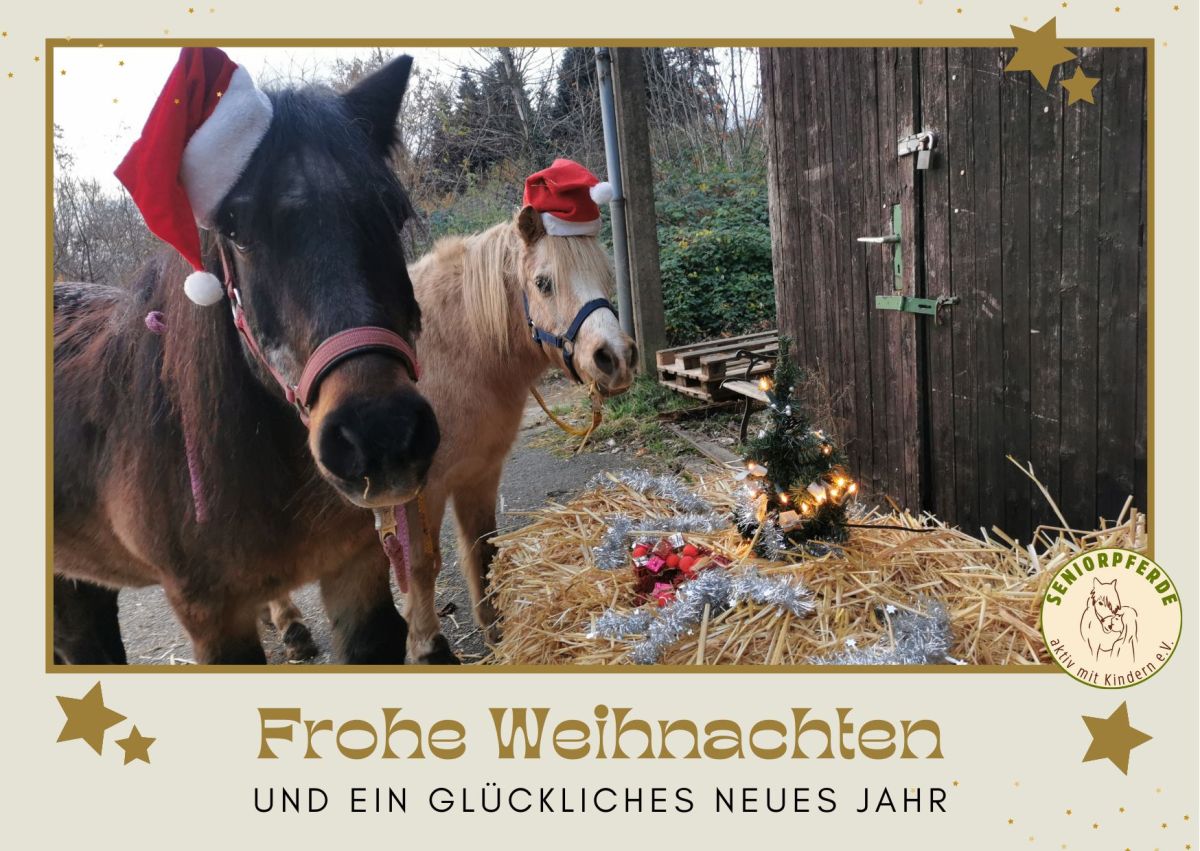 Monty und Goldi wünschen frohe Weihnachten! (© Nicole Marschall)