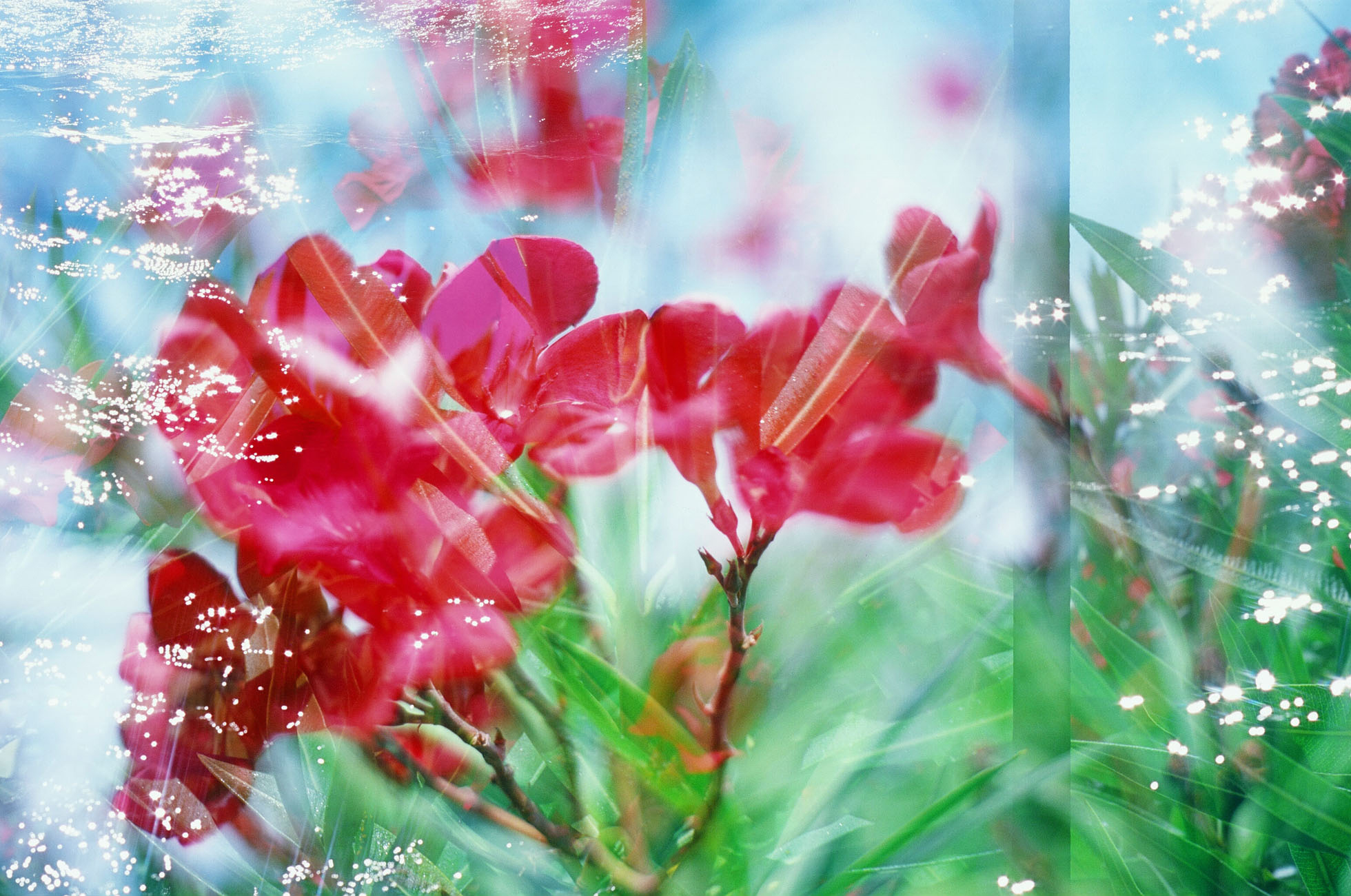 The Subtle Body Balance treatment activates the subtle body (Bildquelle: npicola @ istockphoto.com)
