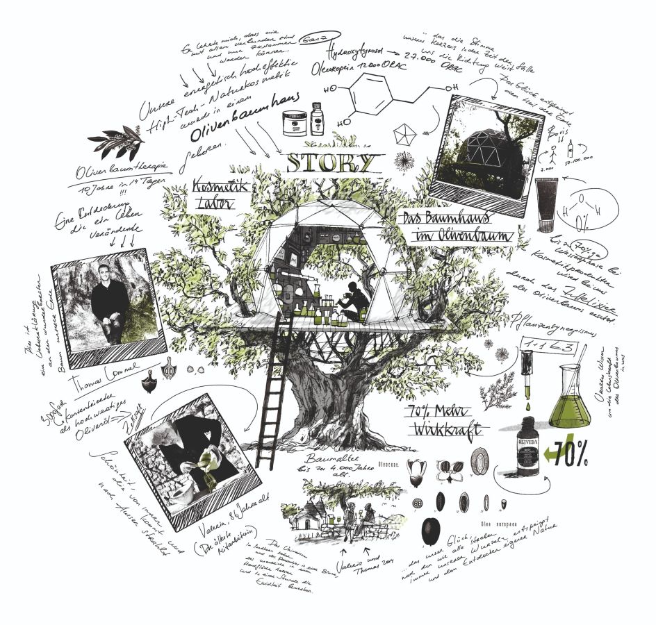 Vom Baumhaus in die Welt: OLIVE TREE PEOPLE expandiert global (© OLIVEDA)