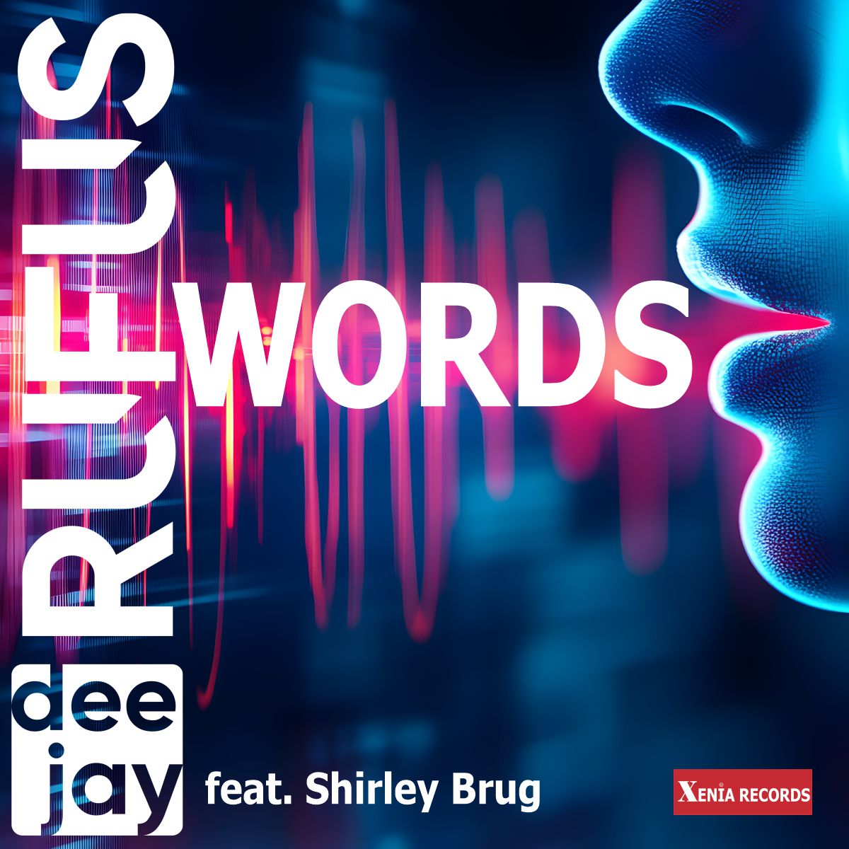 dee jay RUFUS feat. Shirley Brug - WORDS - Cover