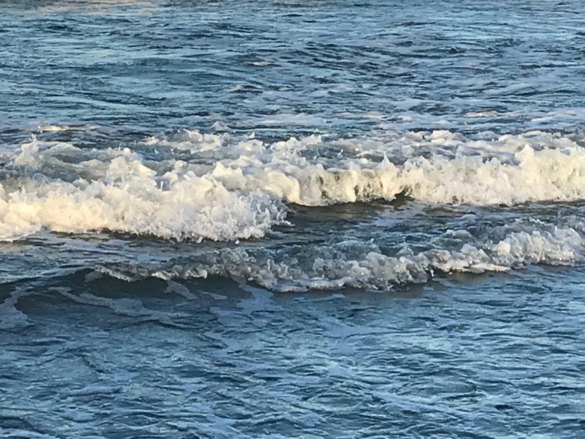 (Die Bildrechte liegen bei dem Verfasser der Mitteilung.)