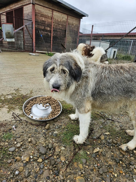 (Die Bildrechte liegen bei dem Verfasser der Mitteilung.)
