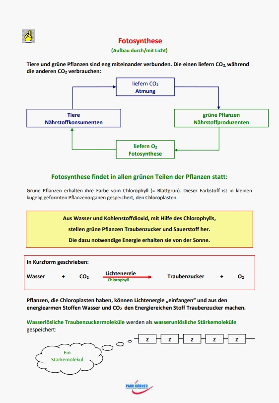 Ein veränderbares Arbeitsblatt (Die Bildrechte liegen bei dem Verfasser der Mitteilung.)