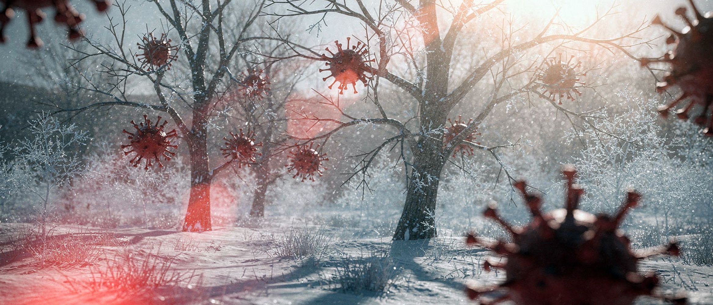 In der Grippezeit das Immunsystem stärken: Das geht über den Darm mit dem Wirkstoff PMA-Zeolith