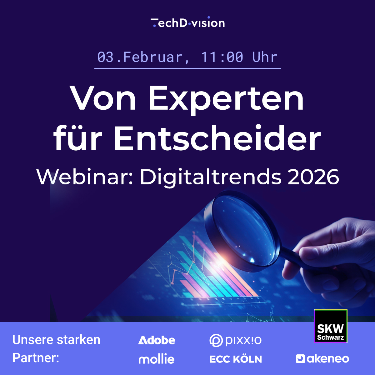 TechDivision Webinar 