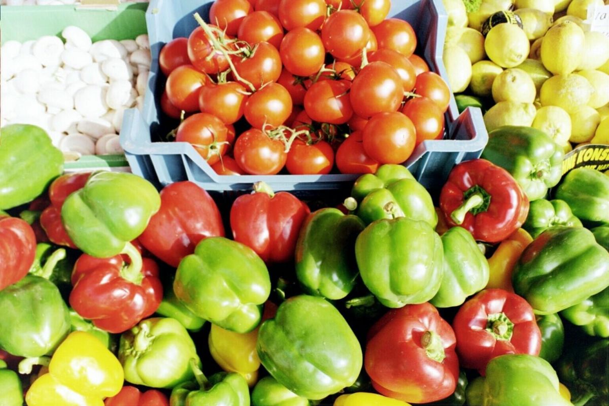 Elementarer Gesundheitsbaustein: gesunde Ernährung. (© Ärzte gegen Tierversuche e.V.)