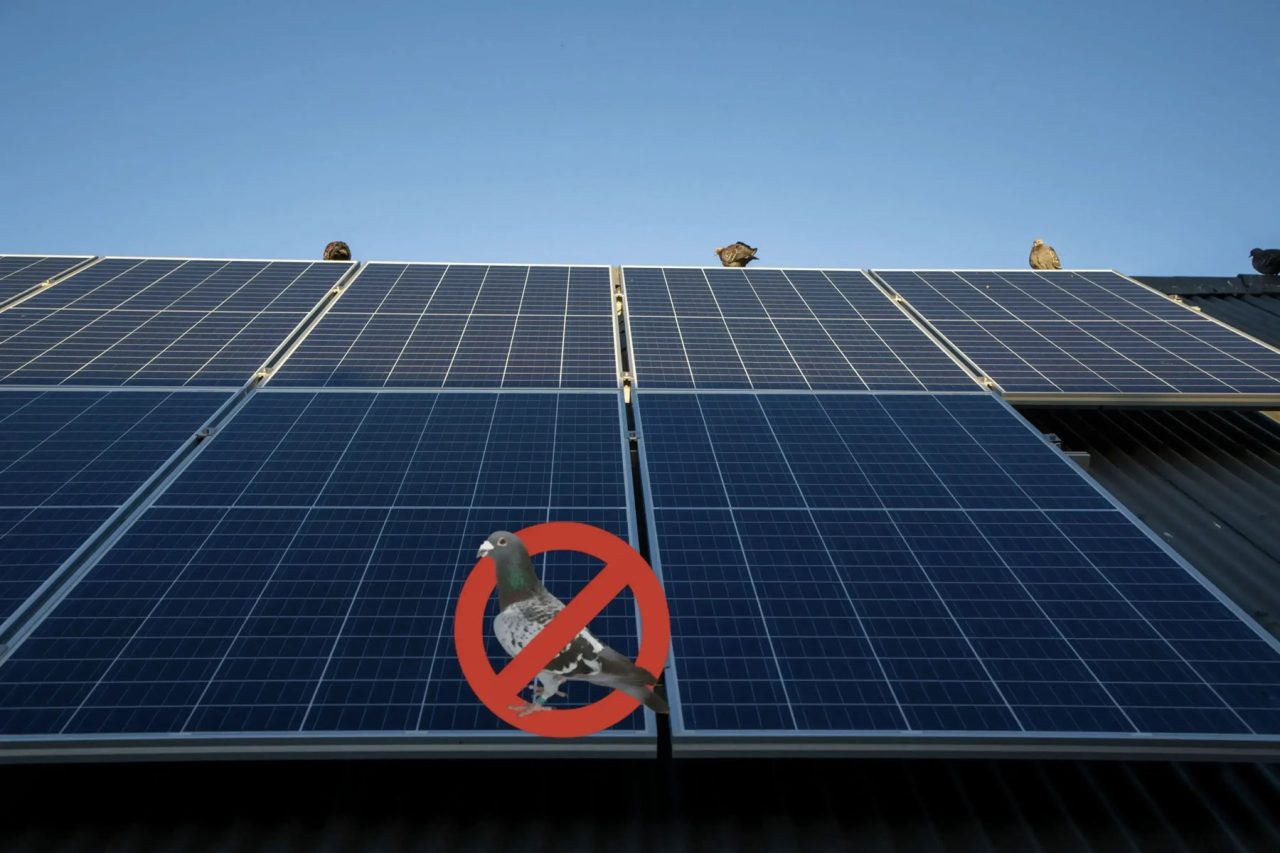 (Die Bildrechte liegen bei dem Verfasser der Mitteilung.)