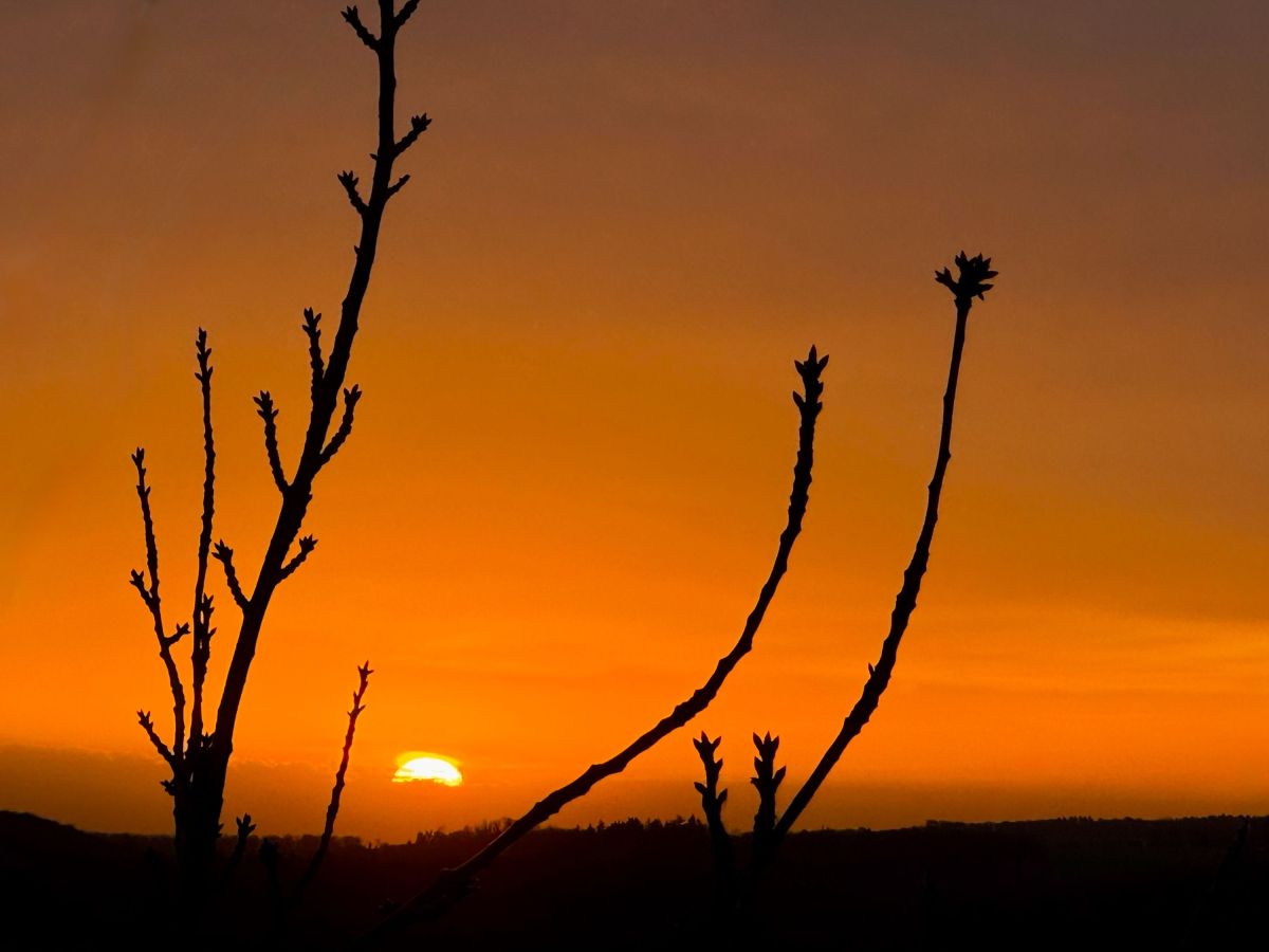 (© Music Travel by JM GmbH)