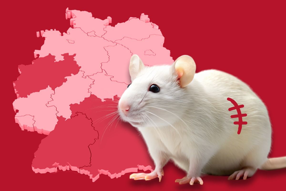 Visual zur freien Nutzung (© Ärzte gegen Tierversuche e.V.)