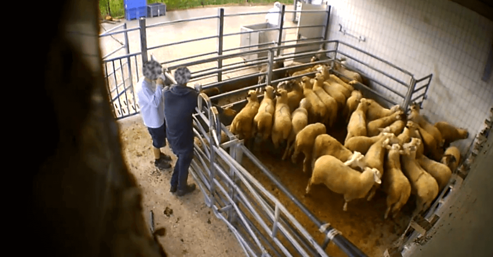 Der Schlachthof Elsfleth ist seit der Veröffentlichung von Videoaufnahmen geschlossen. Ermittlungen wegen Tierquälerei dauern an.