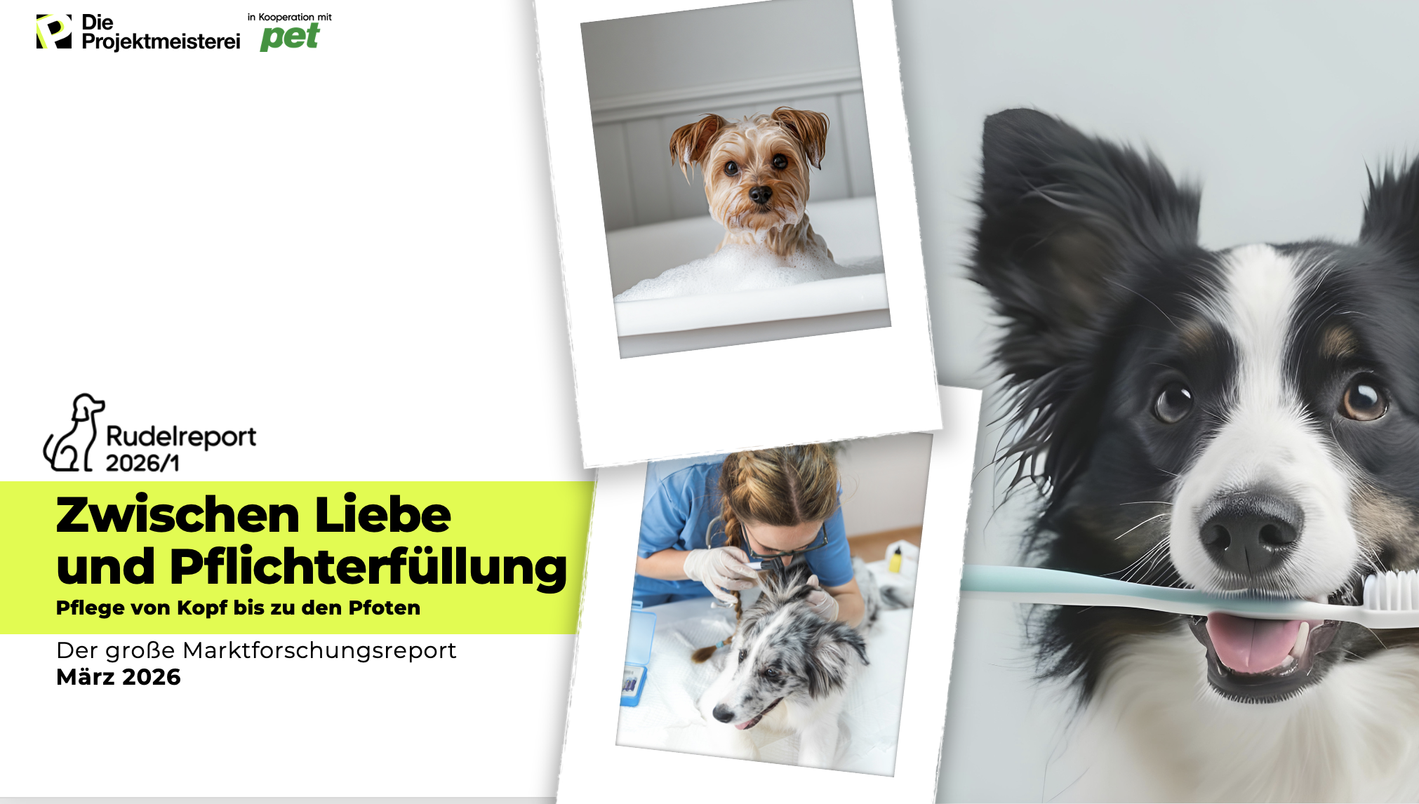 Rudelreport 2026/1 zum Thema Hundepflege