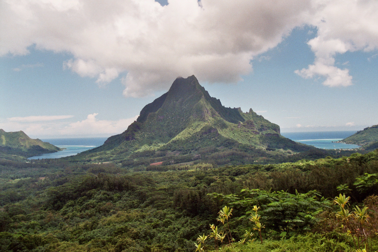 Moorea, Blick vom Belvedere auf die Cooks und Opunohu Bay