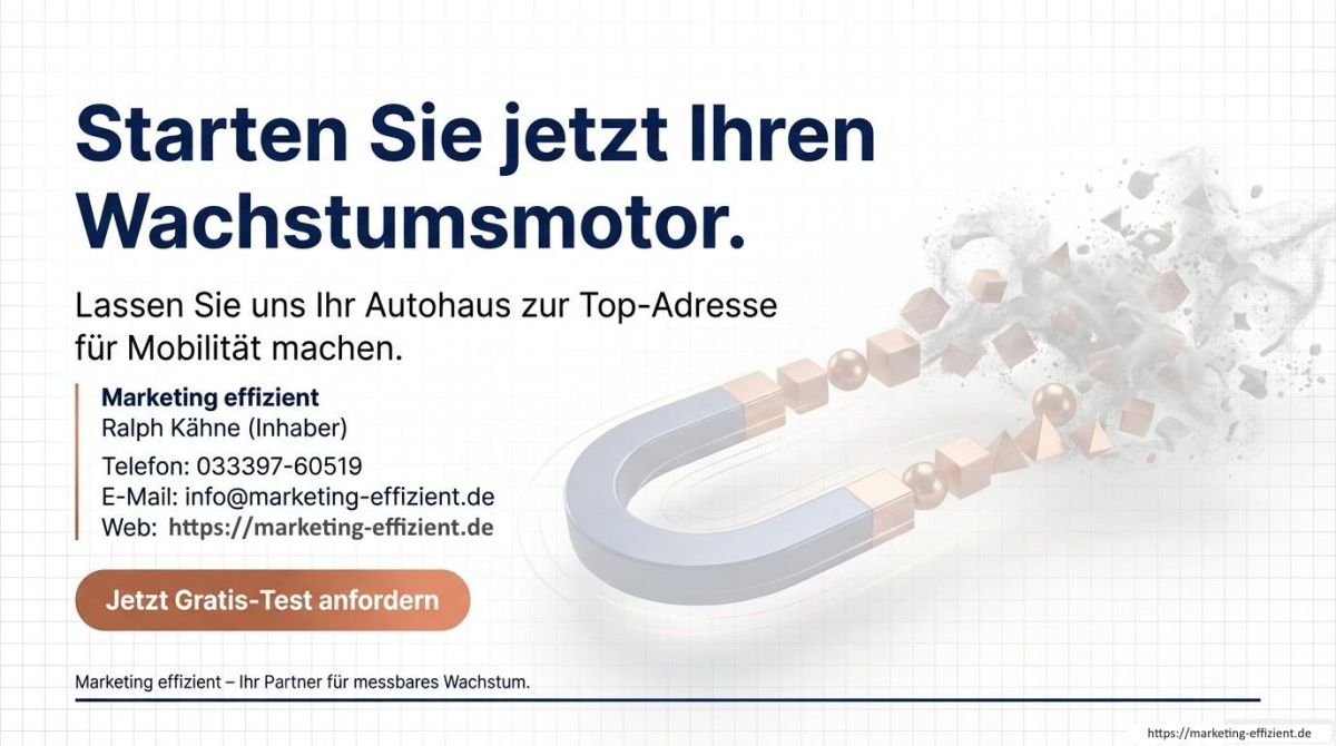 Wie Autohäuser die Pole Position erobern (© Marketing effizient)