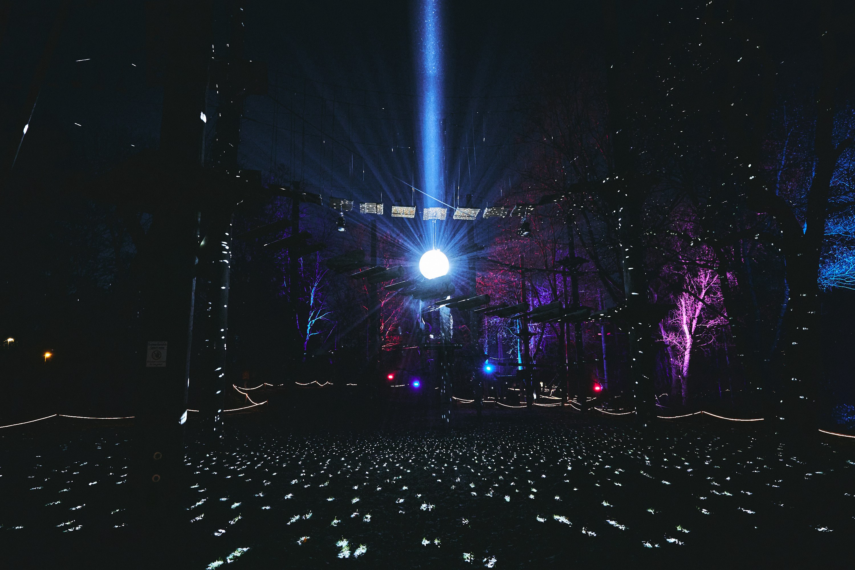 elfplus+ sorgte für die Beleuchtung des Winterwaldes am Fühlinger See (Foto: elfplus+)