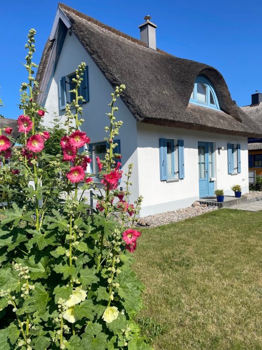 (Die Bildrechte liegen bei dem Verfasser der Mitteilung.)