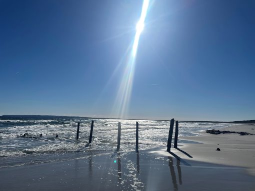 (Die Bildrechte liegen bei dem Verfasser der Mitteilung.)