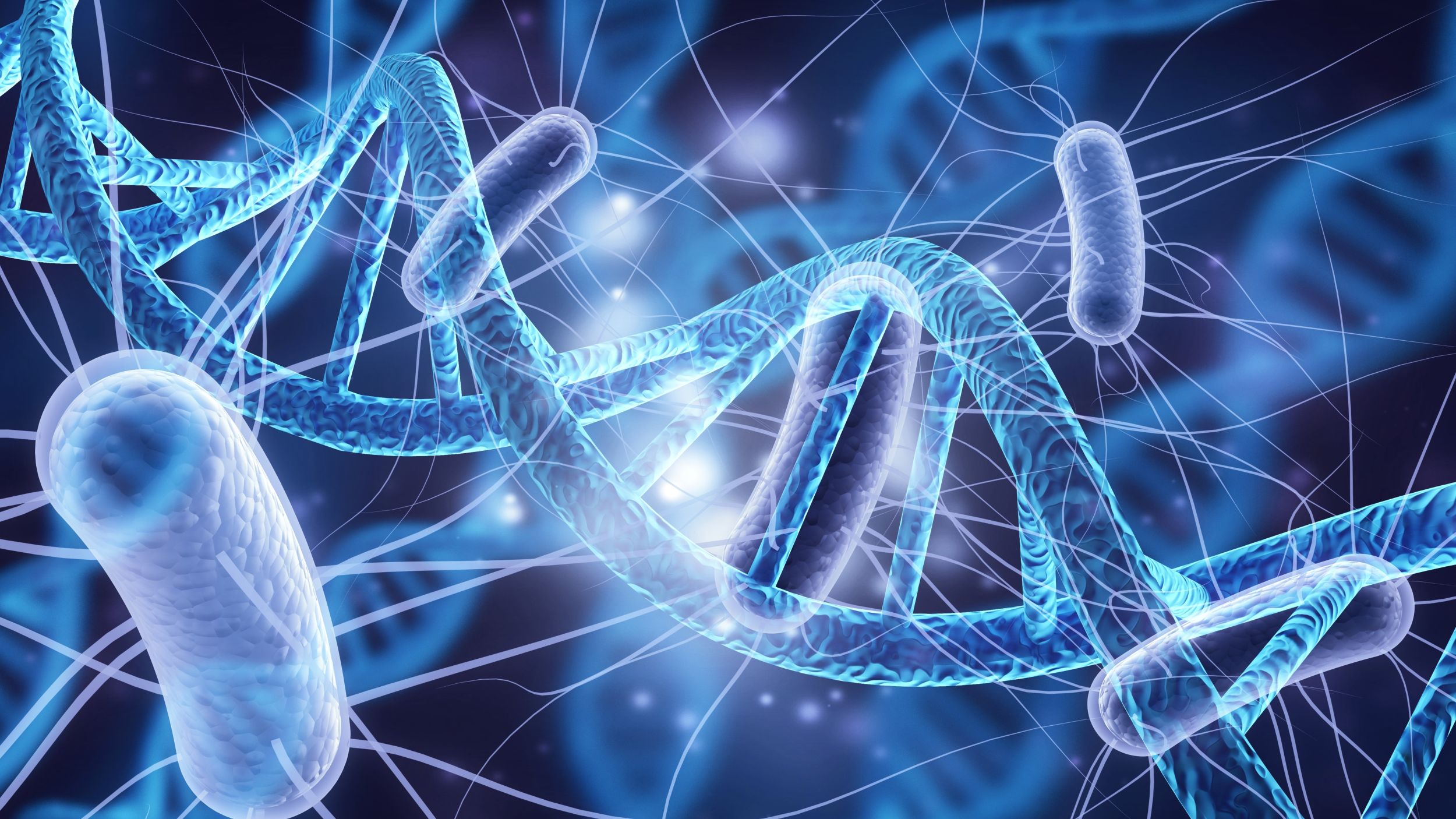 Führender Wissenschaftler Dr. Paul Hammer (BIOMES) über das individuelle Mikrobiom und Mikrobiom-Tests