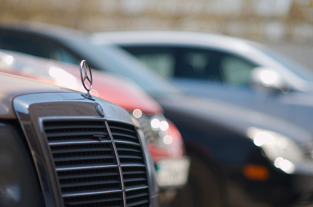 (Die Bildrechte liegen bei dem Verfasser der Mitteilung.)