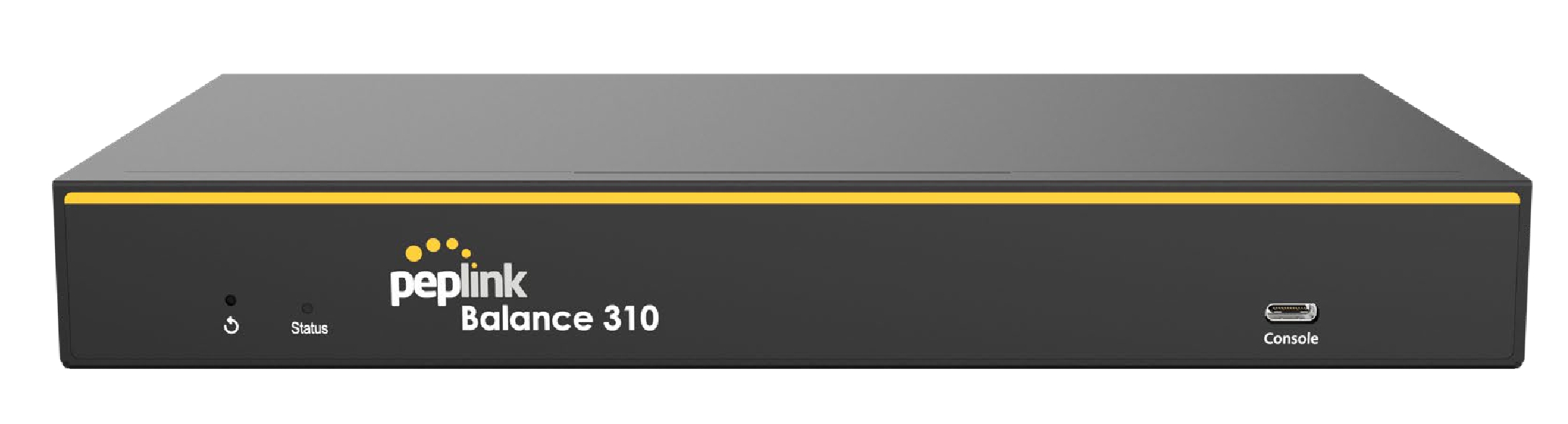 Balance 310 von Peplink (Die Bildrechte liegen bei dem Verfasser der Mitteilung.)