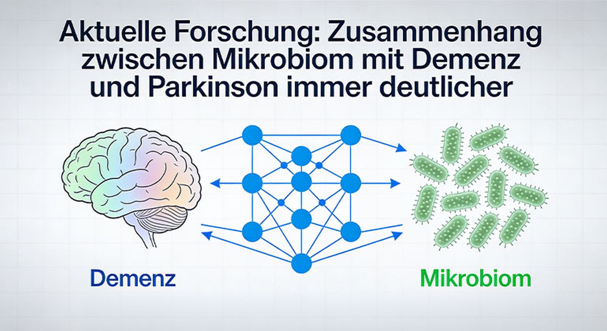 Mikrobiom und Darmbarriere werden im Zusammenhang mit der Prävention von Alzheimer und Parkinson immer wichtiger