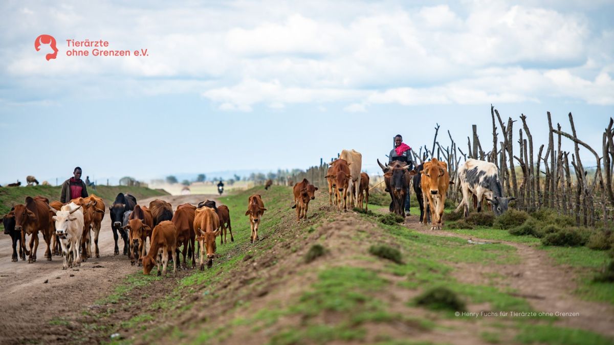 Im UN-Jahr 2026 werden nomadische Hirtengemeinschaften in den Fokus der Aufmerksamkeit gerückt. (© Henry Fuchs)