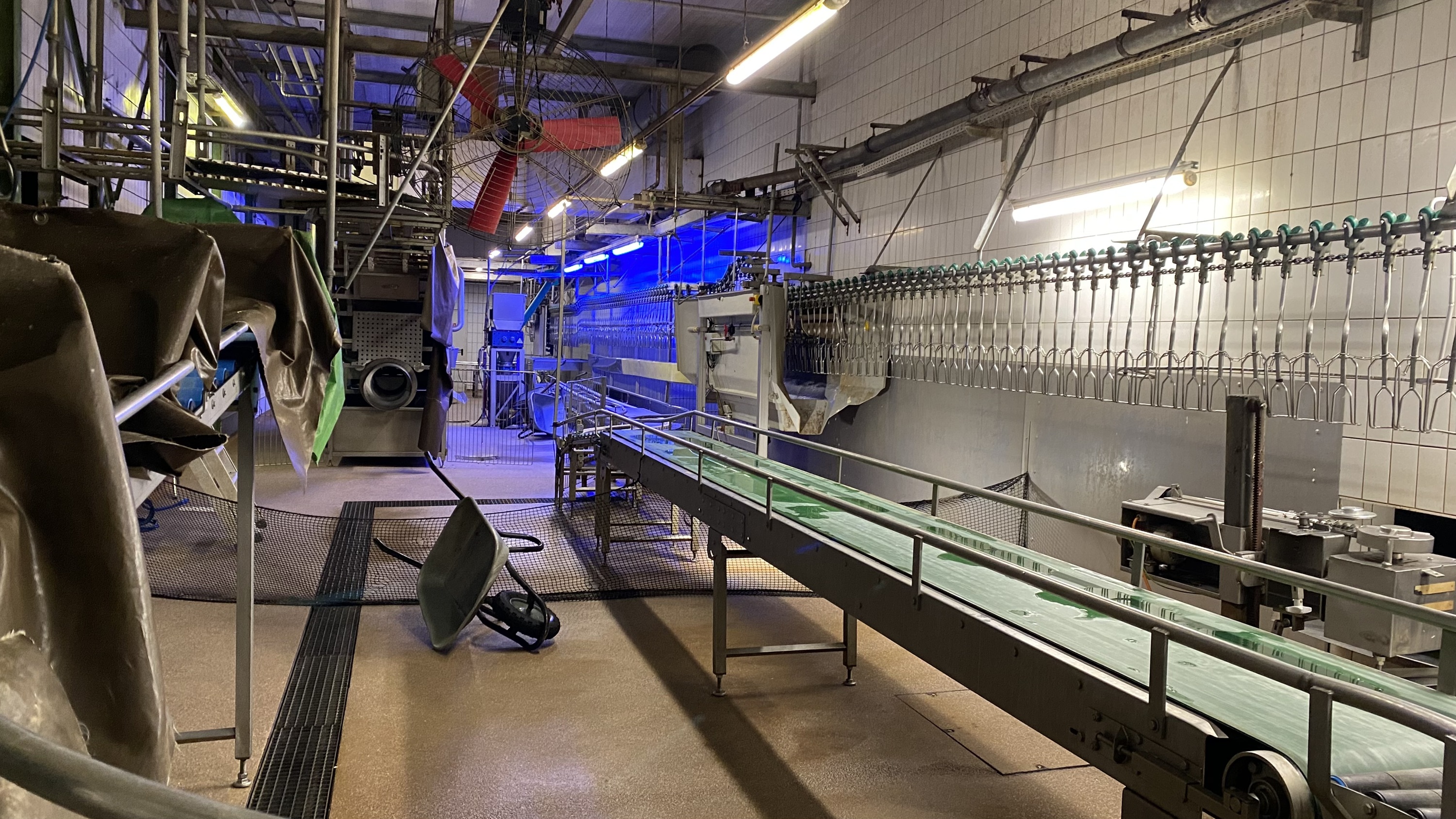 Nach schweren Tierschutzverstößen wird der Schlachthof Buckl in Wassertrüdingen vollständig abgewickelt.