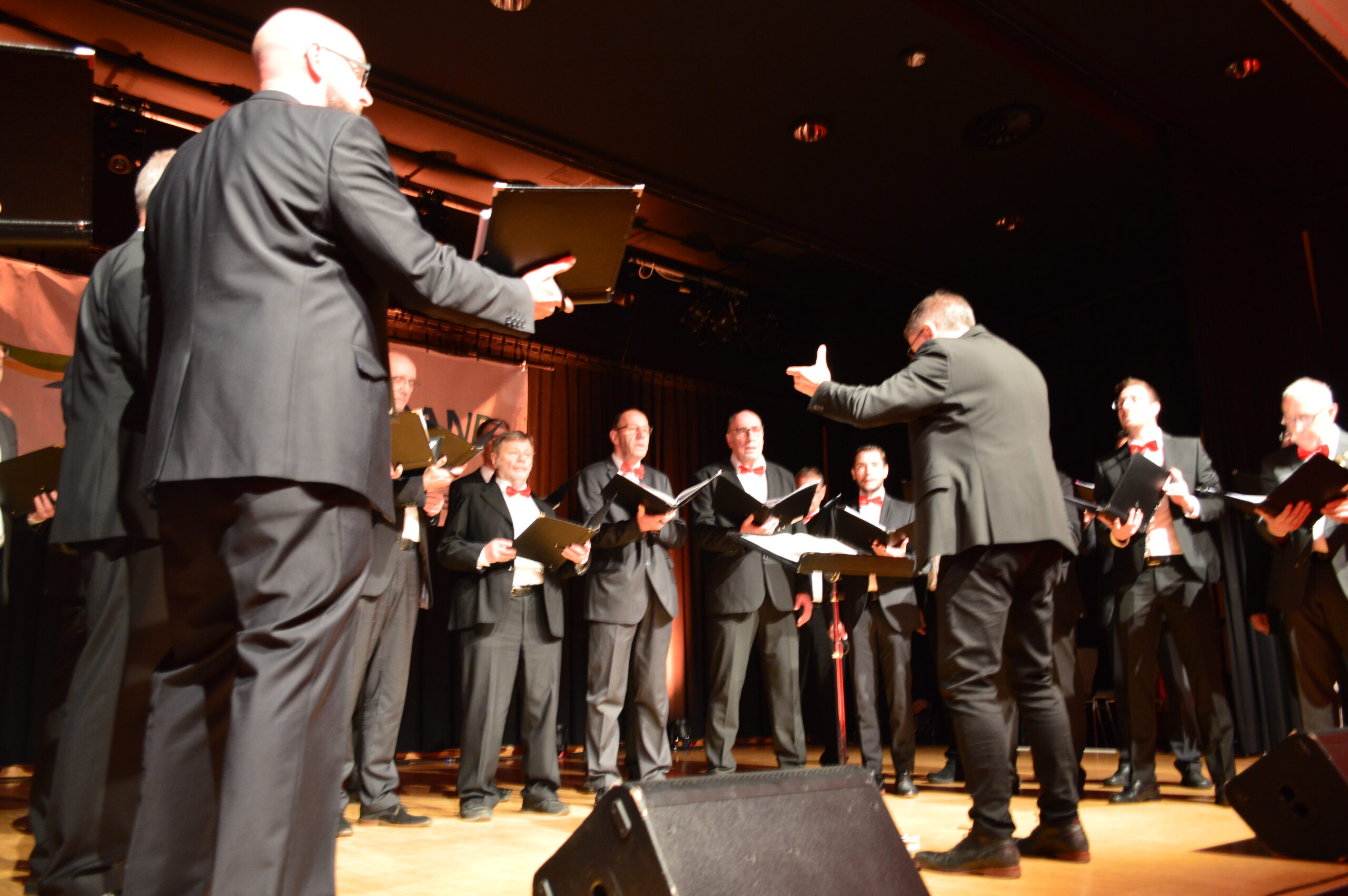 Leistungsorientierte Männerchöre verzeichnen noch immer stabile und wachsende Mitgliederzahlen. (Bildquelle: Shiva Mangold / im Bild Männerchor Cäcilia Horbach)