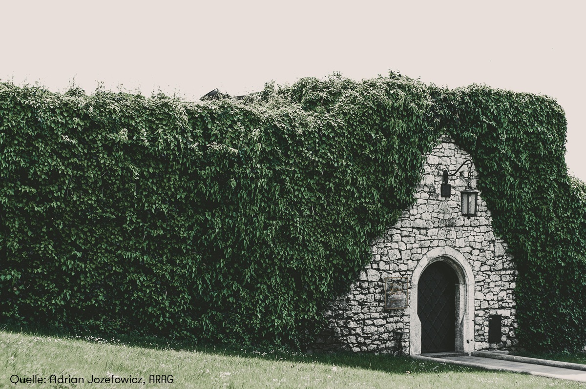 ARAG Expertenüber Rechte und Pflichten bei der Gartenarbeit (Die Bildrechte liegen bei dem Verfasser der Mitteilung.)