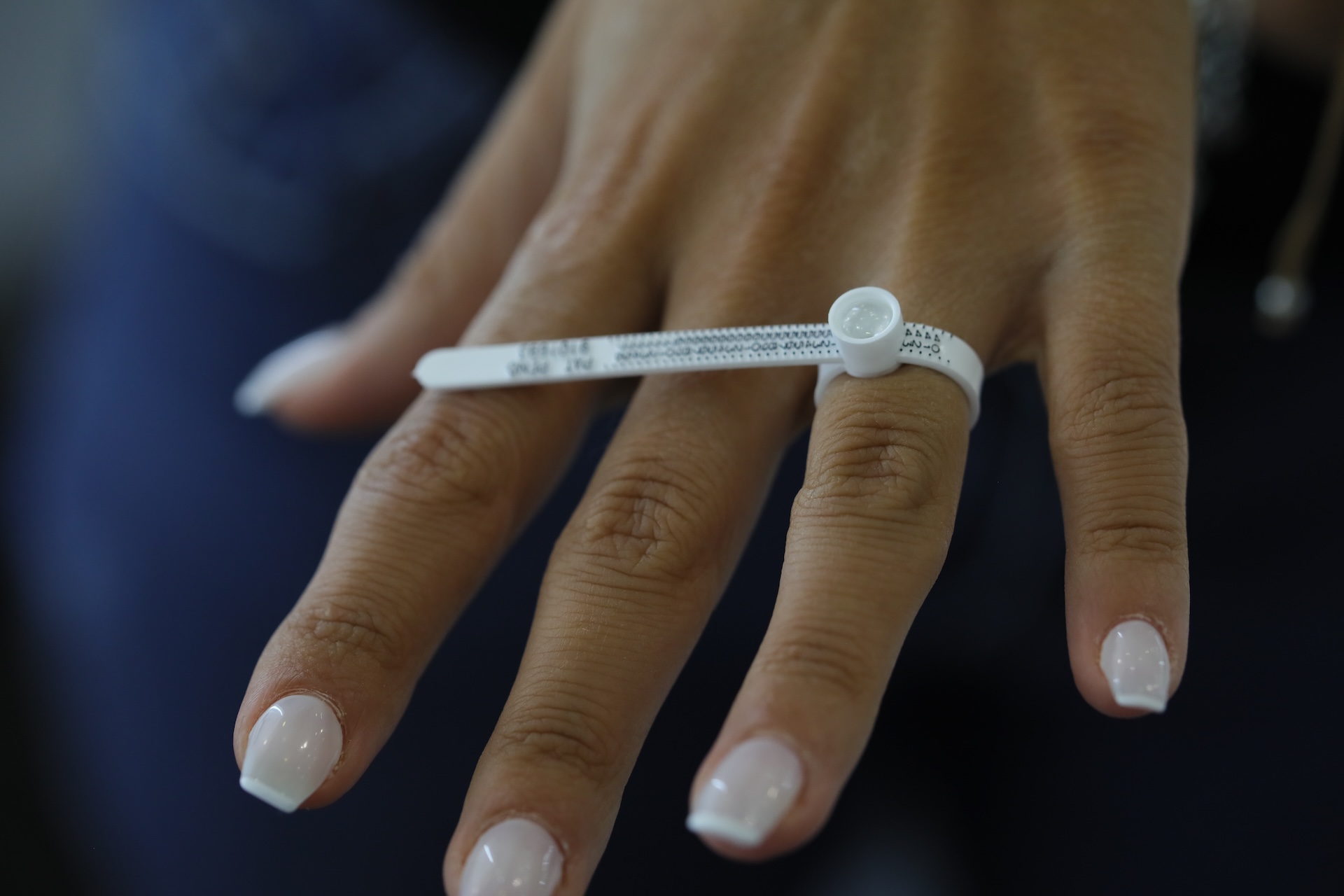 (Die Bildrechte liegen bei dem Verfasser der Mitteilung.)