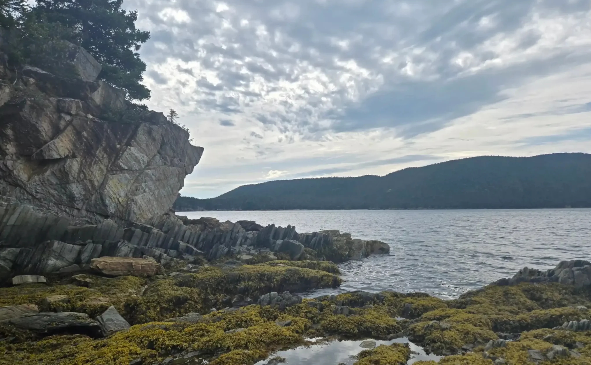 Gold Hunter Resources ist ein spannendes Goldkonsolidierungsplay in Neufundland; Bild: Gold Hunter Resources