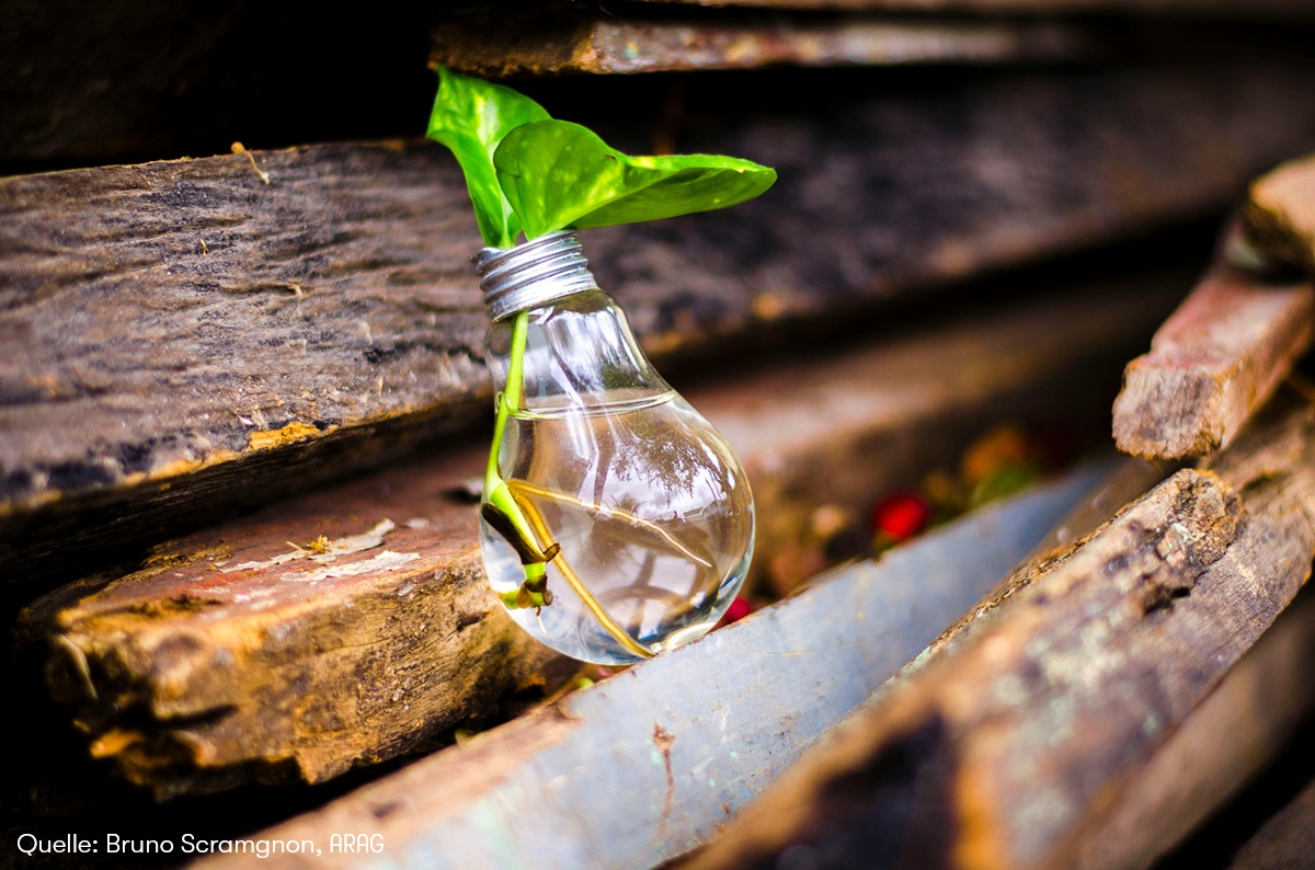 ARAG Experten geben Tipps zu Geschenken vor der Haustür, aufgewerteter Kleidung und Refurbished-Elek