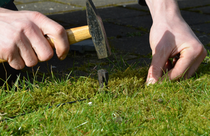 (Die Bildrechte liegen bei dem Verfasser der Mitteilung.)
