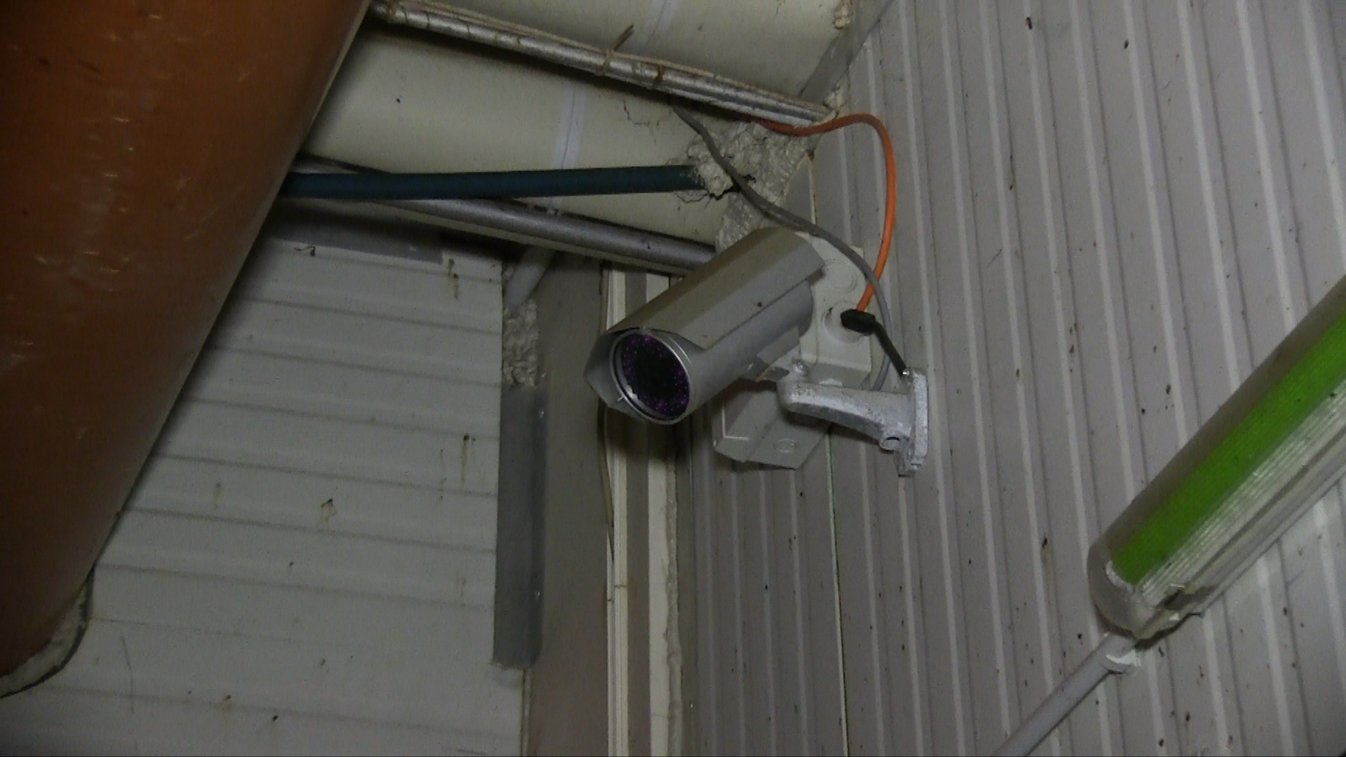 Bildmaterial aus Schlachthöfen zeigt wiederholt Misshandlungen von Tieren und befeuert die Debatte über verpflichtende Videoüberwa