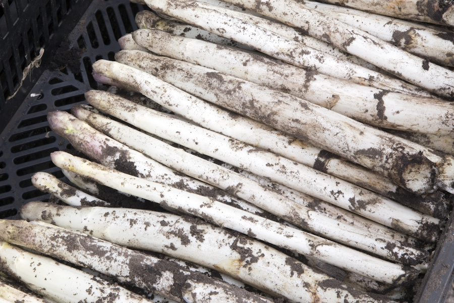 (Die Bildrechte liegen bei dem Verfasser der Mitteilung.)