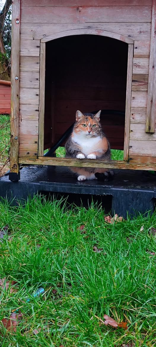 Bund Deutscher Tierfreunde zum Beginn der Sommerzeit (Die Bildrechte liegen bei dem Verfasser der Mitteilung.)