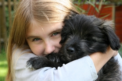 Die Hundekrankenversicherung der AGILA - bester Schutz für Bello und seine Artgenossen