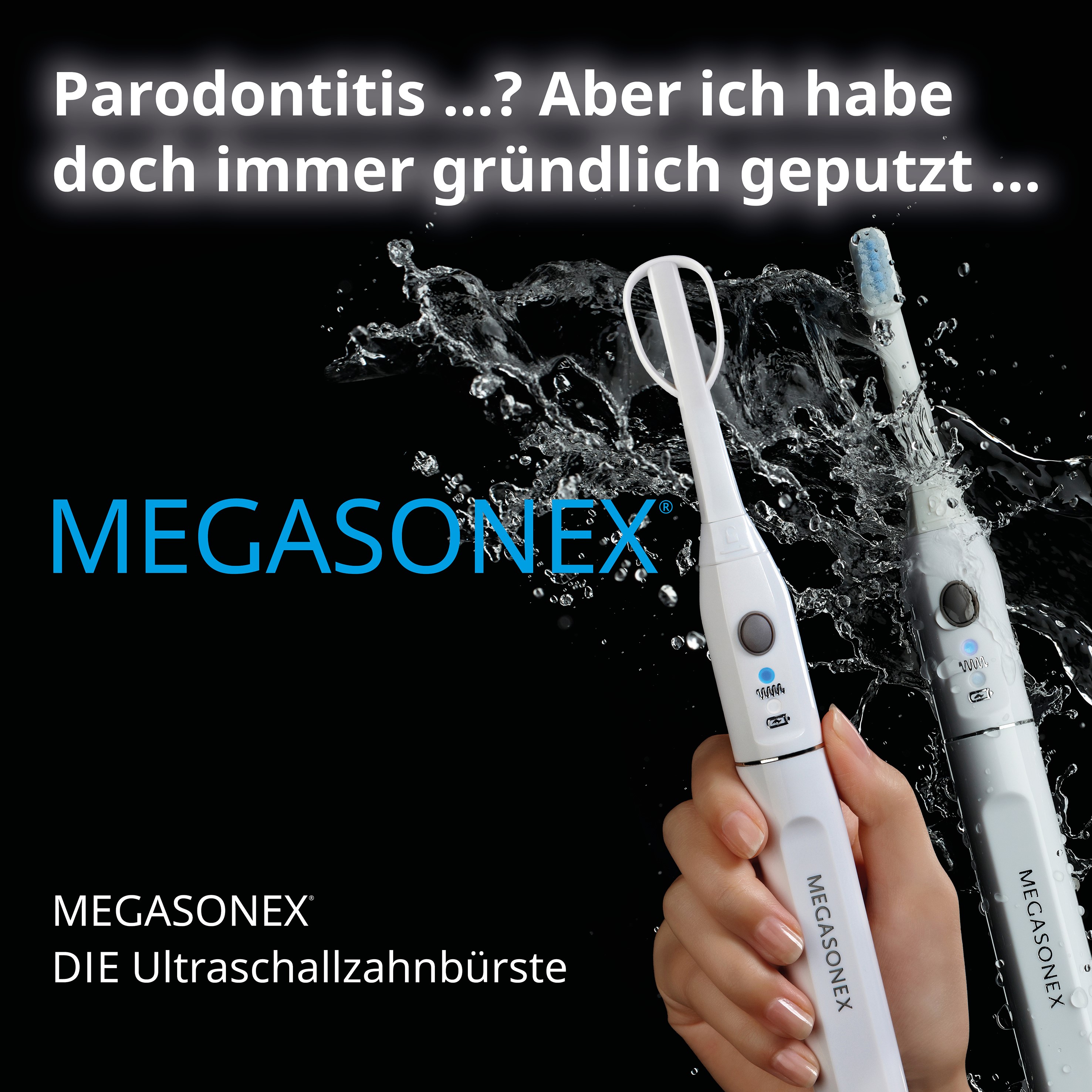 (Die Bildrechte liegen bei dem Verfasser der Mitteilung.)